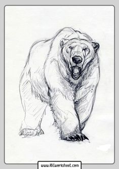 a drawing of a bear with its mouth open