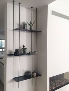 some shelves with plants on them and a fire place in the corner by the wall