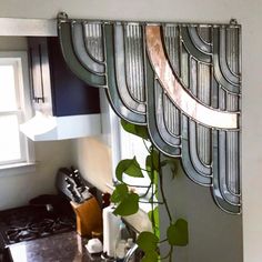 a kitchen with a potted plant in the corner and a mirror on the wall