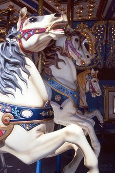 two white horses on a merry go round