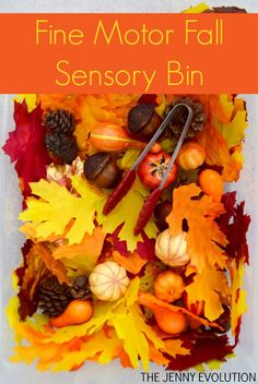 the fine motor fall sensory bin is filled with autumn leaves and acorns