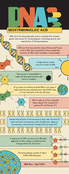 an info poster with different types of information