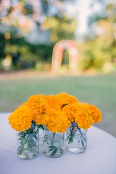 three vases with yellow flowers are sitting on a white table in front of a grassy area