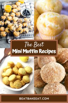 the best mini muffin recipes