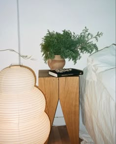 a plant is sitting on top of a table next to a lamp and a bed