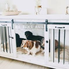 two dogs are sitting in their kennels