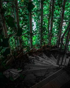 an abandoned building with ivy growing all over it's walls and stairs leading up to the second floor