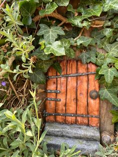 a small wooden door surrounded by green leaves