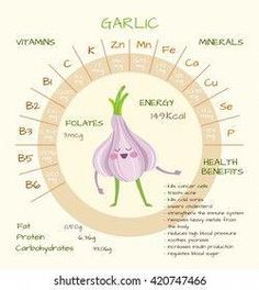 Find CBD and Endocannabinoid System vertical infographic illustration about cannabis as herbal alternative medicine and chemical therapy, healthcare and medical science vector. Stock Images in HD and millions of other royalty-free stock photos, illustrations, and vectors in the Shutterstock collection. Garlic Supplement Benefits, Garlic Vector, Garlic Nutrition Facts, Garlic Pills