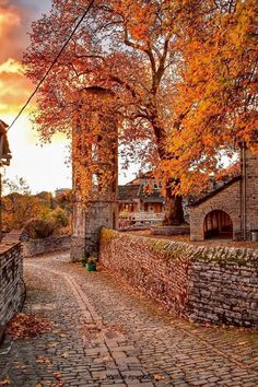 a cobblestone street with an old brick building in the background and autumn leaves on the trees