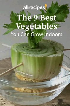 the 9 best vegetables you can grow indoors