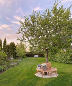 a wooden bench sitting under a tree on top of a lush green field