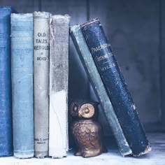 an owl figurine sitting on top of books next to two blue bookshelves