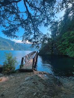 a wooden dock sitting on the side of a lake next to a lush green forest