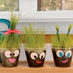 three potted plants with faces painted on them sitting on a counter top next to a window