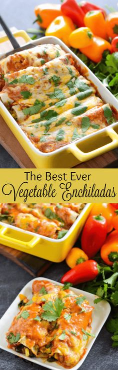 the best ever vegetable enchiladas recipe