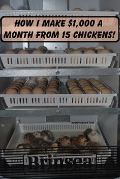 a display case filled with lots of doughnuts and buns in front of a sign that says how i make $ 1, 000 a month from 1 chickens