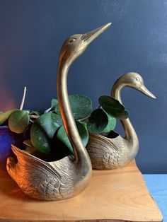 two brass ducks with succulents in them on a wooden table next to a potted plant