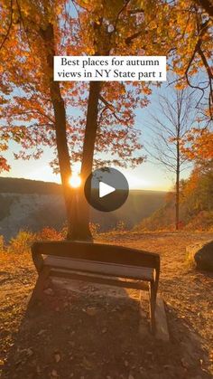 a bench sitting under a tree with the sun setting in the background and text that reads best places for autumn views in ny state part 1