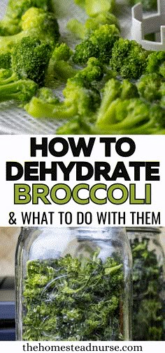 Learn how easy it is to dehydrate the whole broccoli plant and make it useful for your long-term storage, green powder, and everyday meals. Foods To Dehydrate, Purposeful Pantry, Best Food Dehydrator, Broccoli Plant