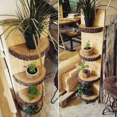 there are three wooden shelves that have plants on them and one is made out of wood