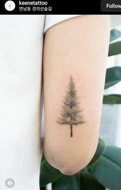 a small pine tree tattoo on the arm