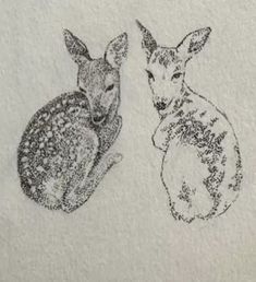 two kangaroos sitting next to each other on a towel