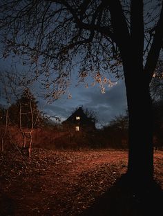 a house in the woods at night with no leaves on the ground and trees around it