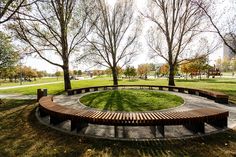 a circular wooden bench sitting in the middle of a park