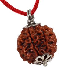 6 Mukhi Rudraksha Pendant with Lab Report Natural & Real Rudraksha 6 Mukhi Nepali Rudraksha with Red Thread Metal : Silver Coated White Metal Energized by Acharya Red Spiritual Mala For Diwali, Navratri Gift Mala With Cutdana, Navratri Gift Cutdana Mala, Red Spiritual Mala For Festive Occasions, Festive Red Mala For Puja, Traditional Red Mala For Rituals, Traditional Red Mala For Puja, Traditional Red Mala For Festivals, Traditional Red Mala For Diwali