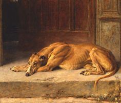 the greyhound magazine cover shows a dog laying on a ledge