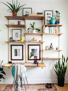 a living room filled with lots of plants and bookshelves on top of shelves