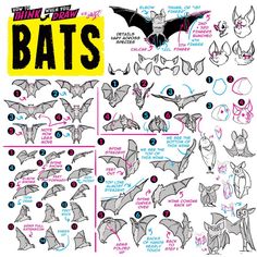 an illustrated guide to how to draw bats for children's art projects and crafts