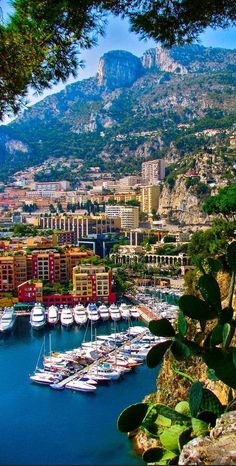 boats are docked in the water near some buildings and mountains with trees on top of them