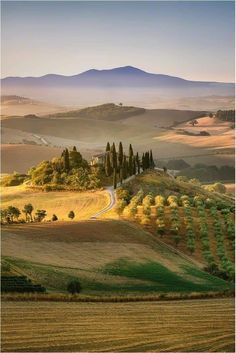 the rolling hills and fields are dotted with trees