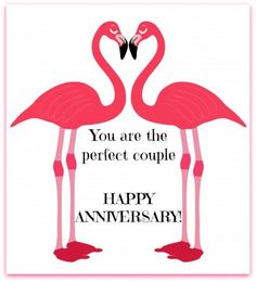 two pink flamingos standing next to each other with the words you are the perfect couple happy anniversary