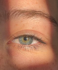 Blue Central Heterochromia Eyes, Centralized Heterochromia, Green Blue Heterochromia, Blue Heterochromia Eyes, Green Blue Brown Eyes, Heterochromia Eyes Blue And Green, Central Heterochromia Eyes Green Blue, Blue Eyes Heterochromia, Central Heterochromia Eyes