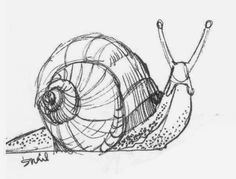 a drawing of a snail with its head in the air and it's legs out