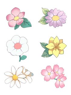 six different types of flowers with leaves on them