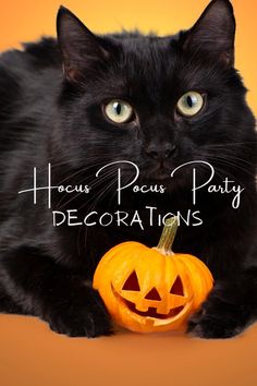 a black cat sitting next to a pumpkin with the words hocps pocus party decorations on it