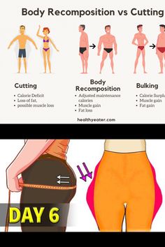 It all depends on your goals. Cutting is the way to go if you want to lose fat.If you want to build muscles, a recomp is the best option. How does body Diy Drinks, Body Fat, Build Muscle, Fun Diys, Muscles, Good Things