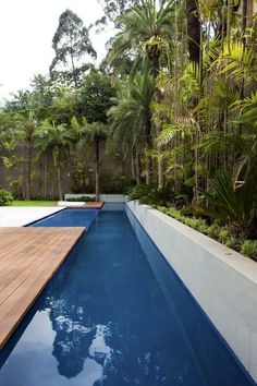 an instagramted photo of a pool surrounded by palm trees and greenery with the caption instagram