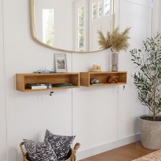 two wooden shelves on the wall near a potted plant and mirror with plants in it