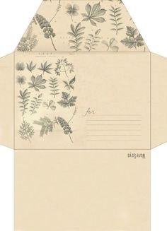 an envelope with leaves and plants on it