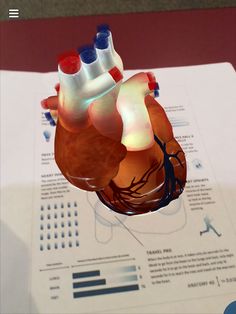 a model of the human heart on top of a piece of paper