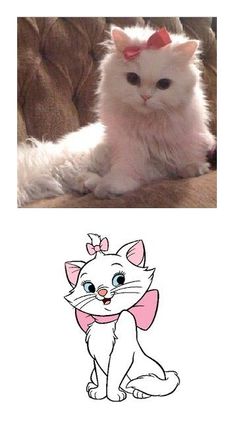 a white cat with a pink bow sitting on top of a couch next to an image of a cartoon cat