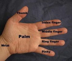 a person's hand with five fingers labeled in different languages, including palm, index finger, middle finger, ring finger, and pinky