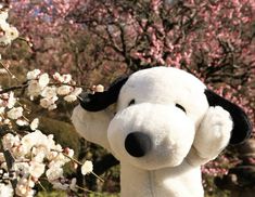 a white stuffed dog with black ears and nose standing next to blossoming tree branches