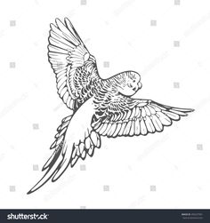 a black and white drawing of a bird flying with its wings spread out in the air