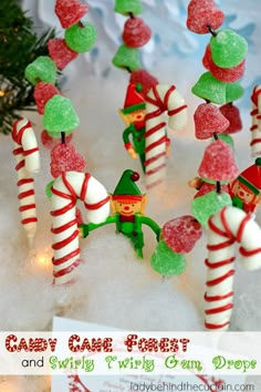 candy cane forest and swirly tiny gum droppers for christmas ornament decoration